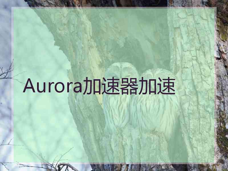 Aurora加速器加速