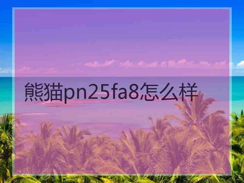 熊猫pn25fa8怎么样