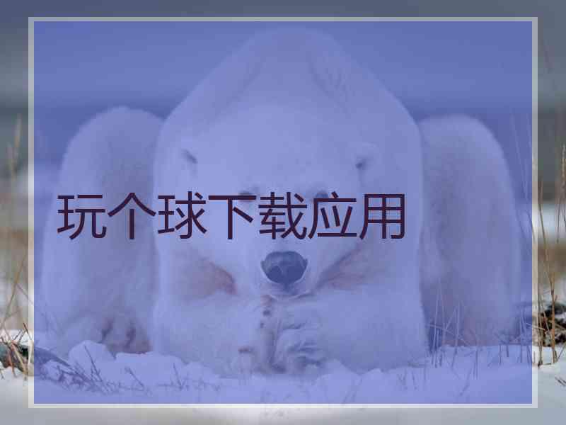 玩个球下载应用