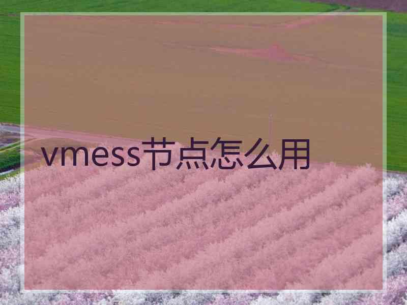 vmess节点怎么用