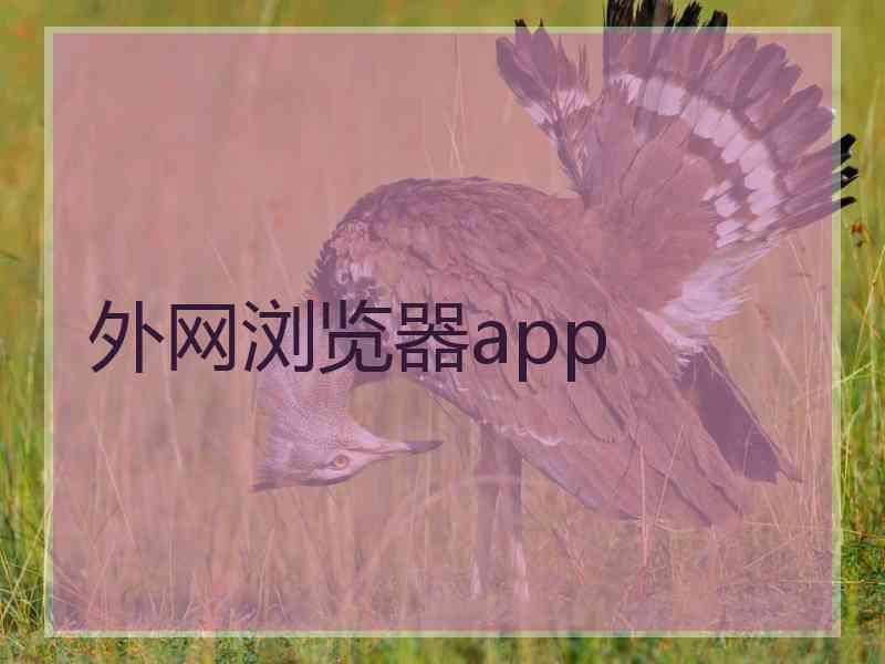 外网浏览器app