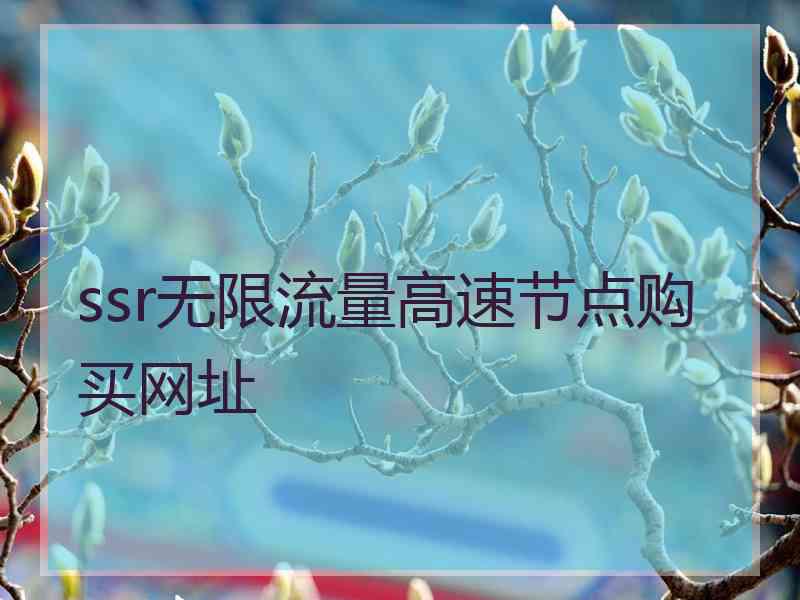 ssr无限流量高速节点购买网址