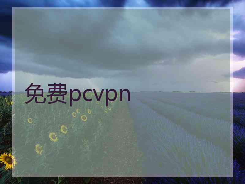 免费pcvpn