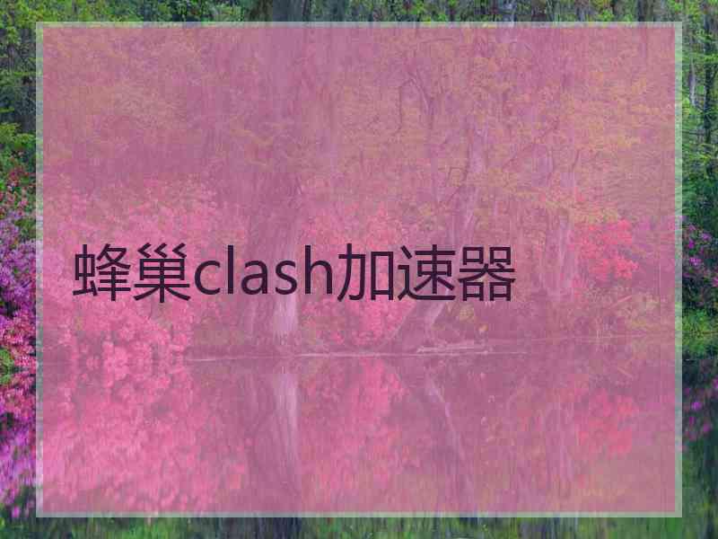 蜂巢clash加速器