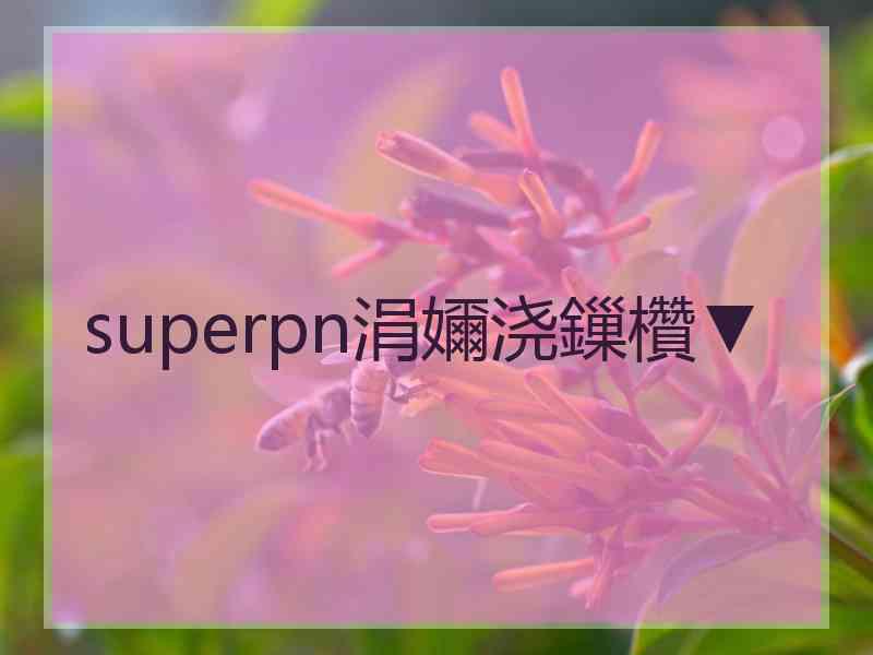 superpn涓嬭浇鏁欑▼