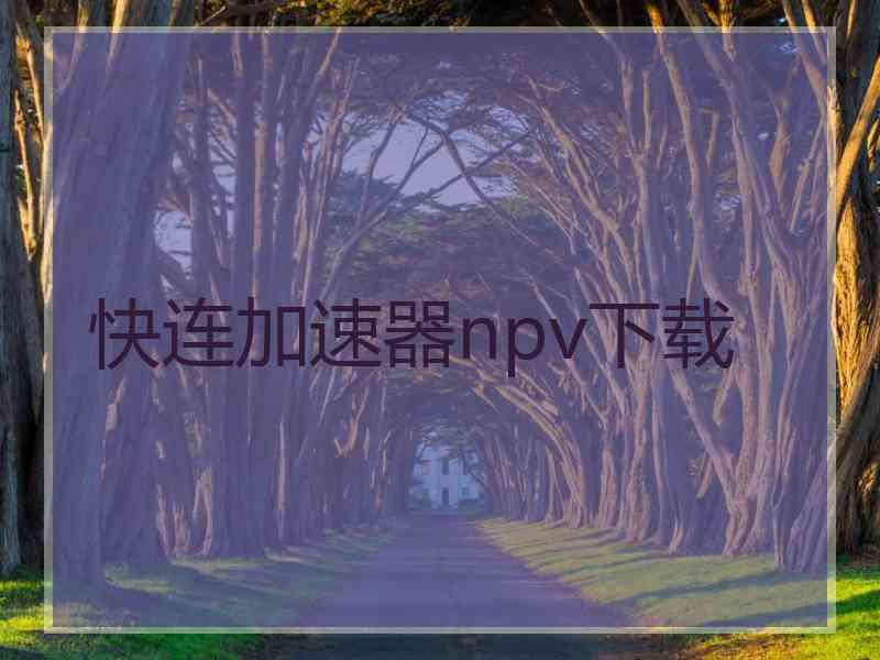 快连加速器npv下载