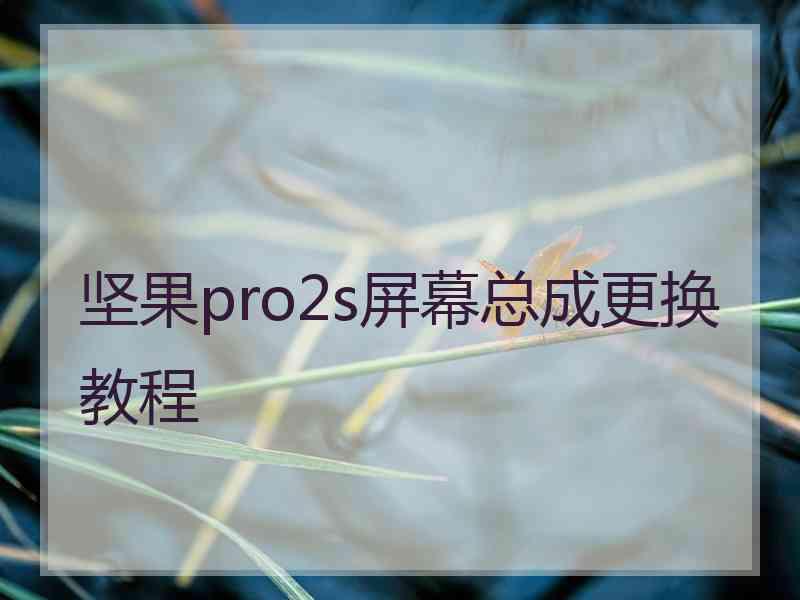 坚果pro2s屏幕总成更换教程