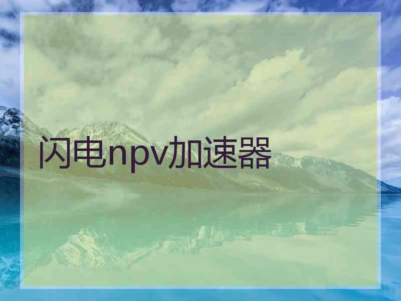 闪电npv加速器