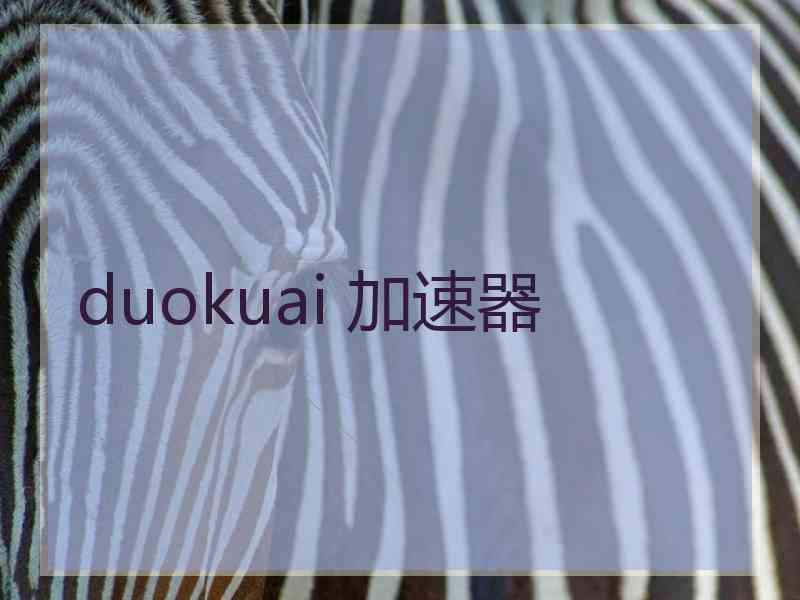 duokuai 加速器