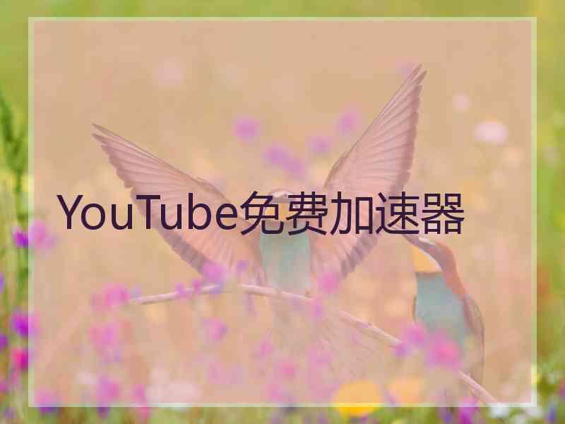 YouTube免费加速器