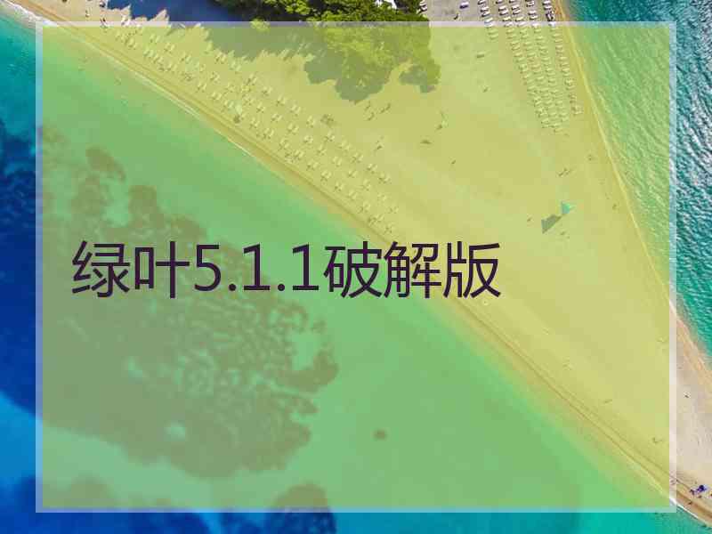 绿叶5.1.1破解版