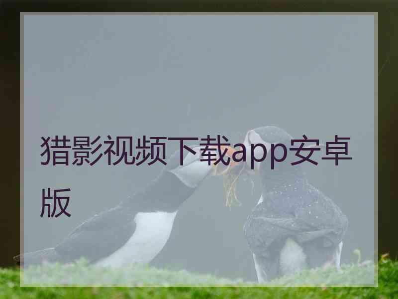 猎影视频下载app安卓版