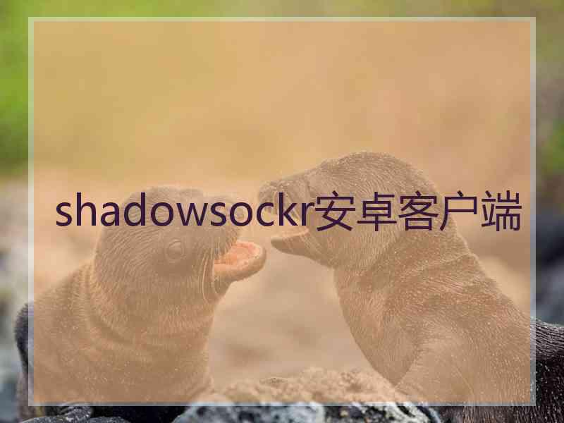 shadowsockr安卓客户端