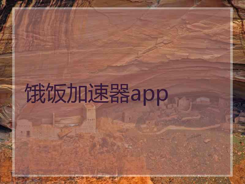 饿饭加速器app