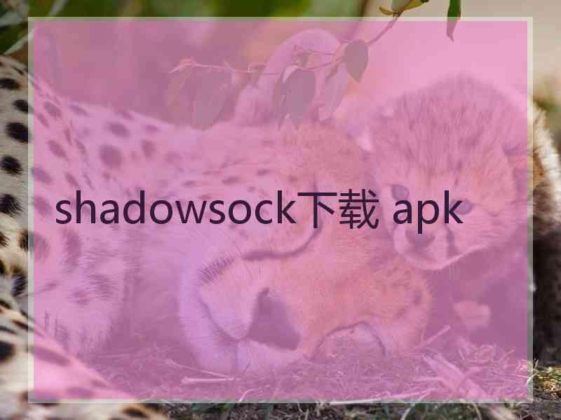 shadowsock下载 apk