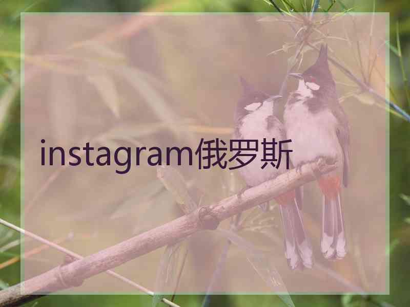 instagram俄罗斯