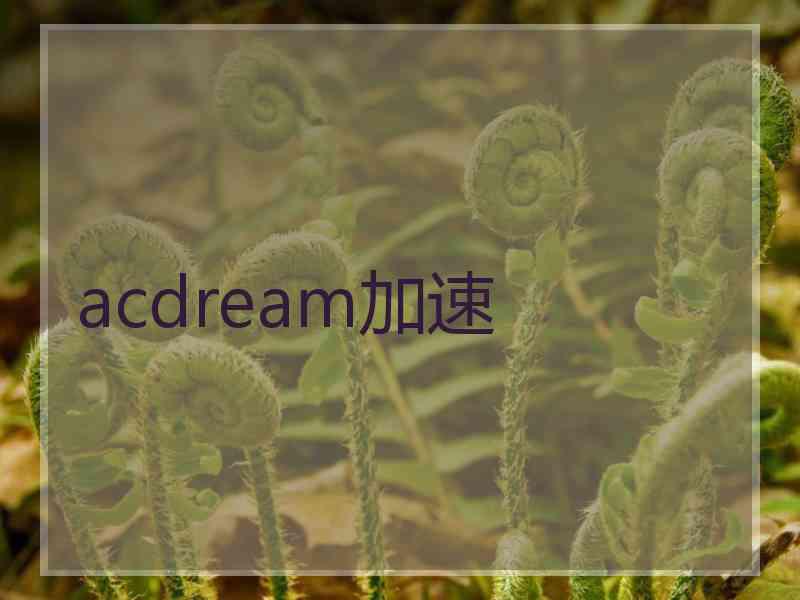 acdream加速