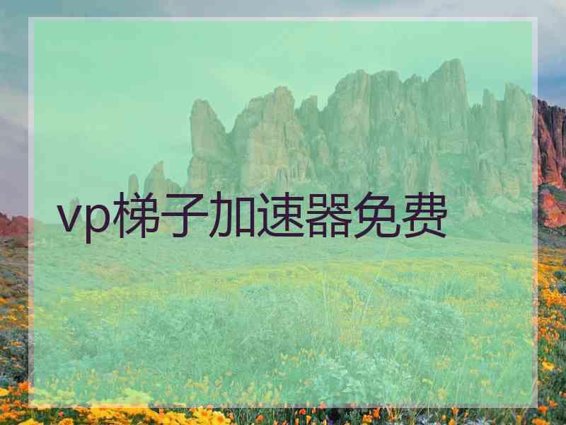 vp梯子加速器免费