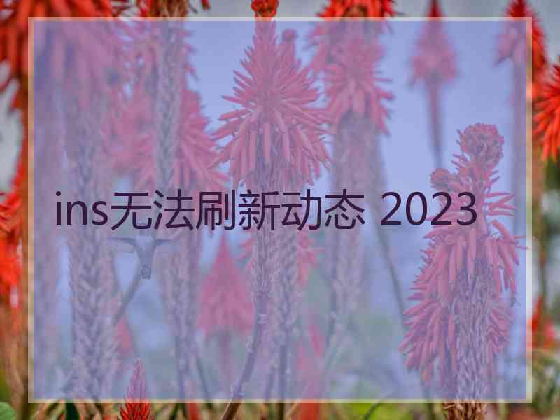 ins无法刷新动态 2023