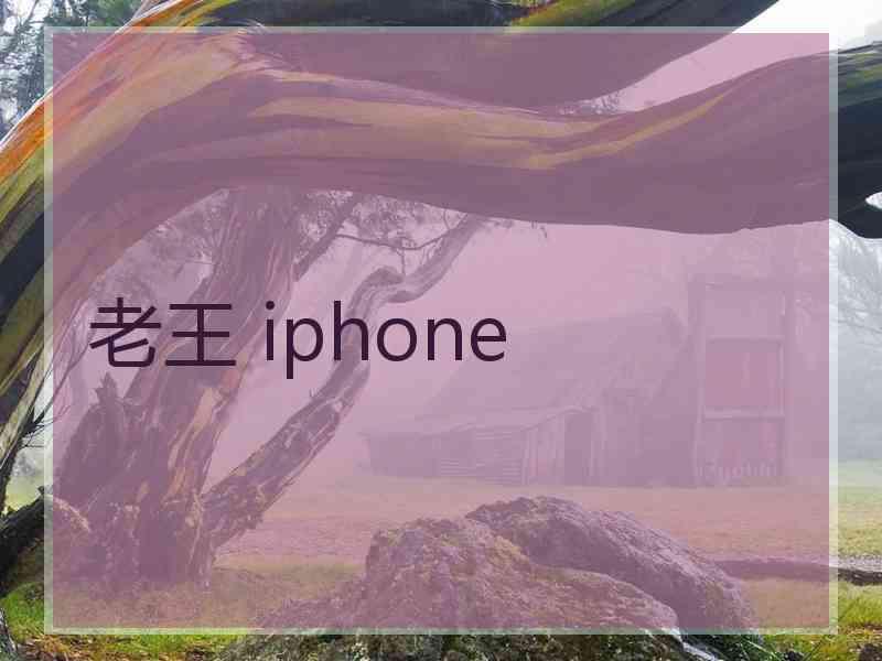 老王 iphone