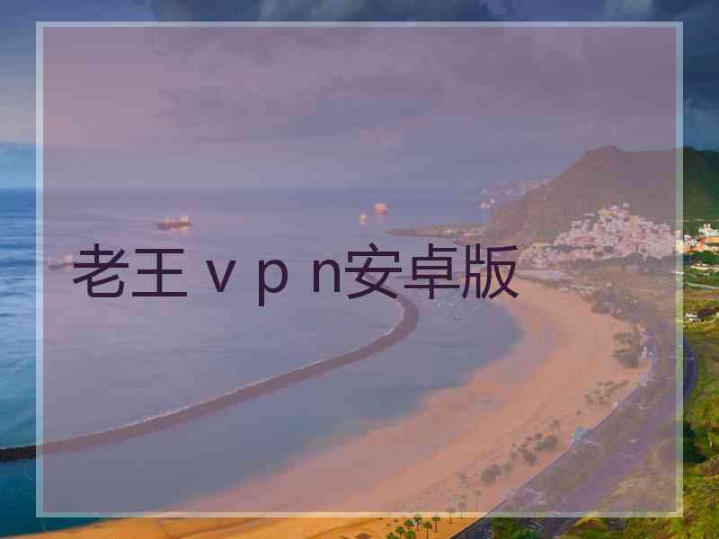 老王 v p n安卓版