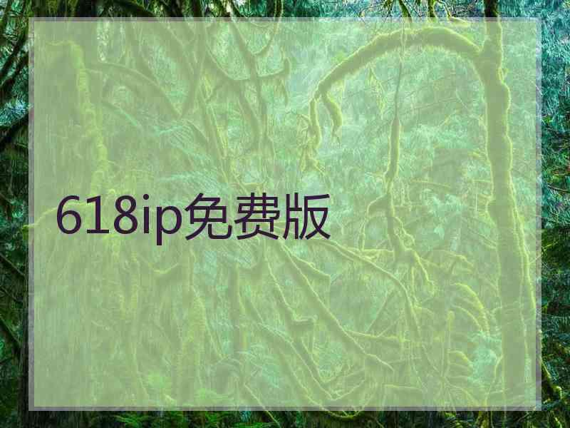 618ip免费版