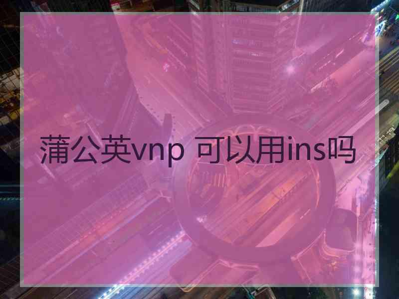 蒲公英vnp 可以用ins吗