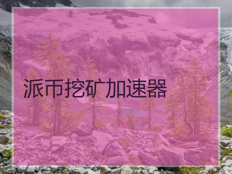 派币挖矿加速器