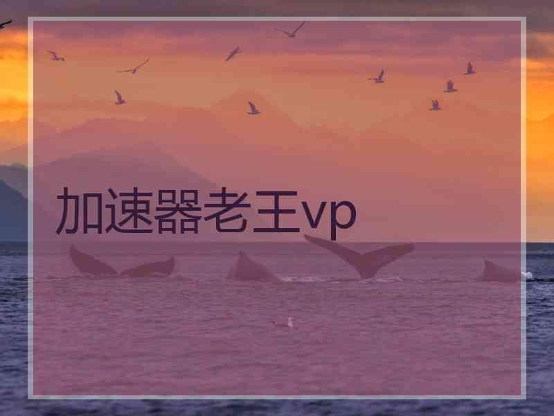 加速器老王vp