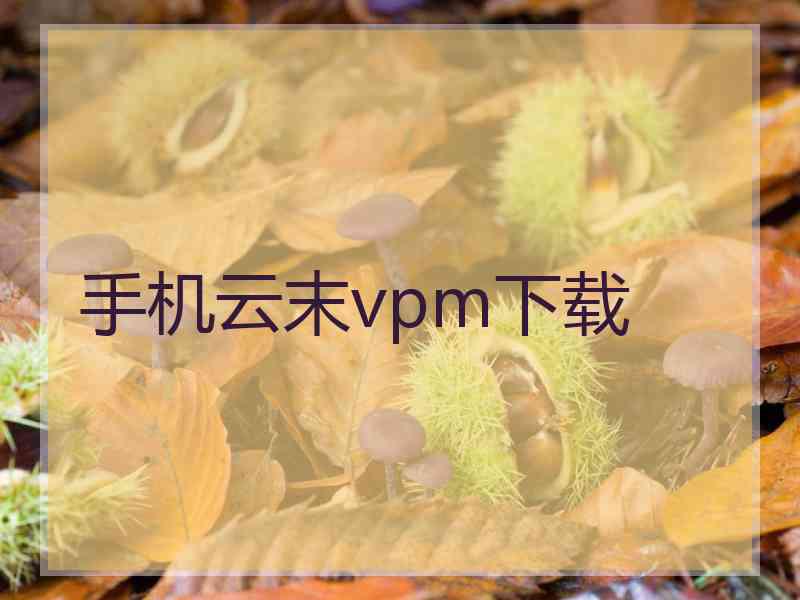 手机云末vpm下载