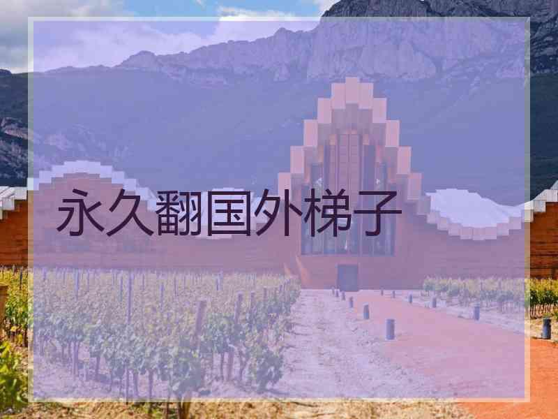 永久翻国外梯子