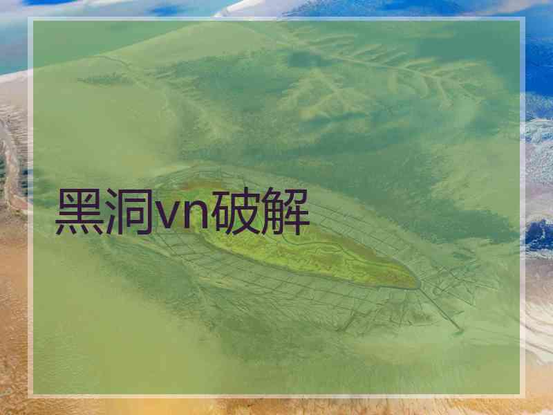 黑洞vn破解