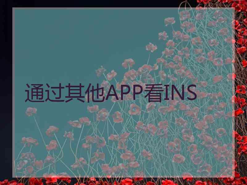 通过其他APP看INS