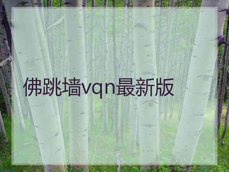 佛跳墙vqn最新版