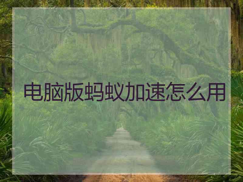 电脑版蚂蚁加速怎么用