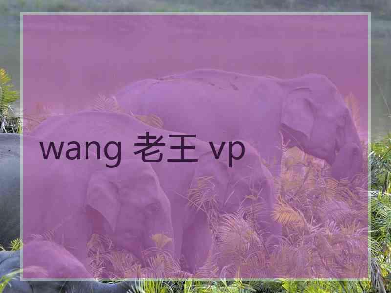 wang 老王 vp