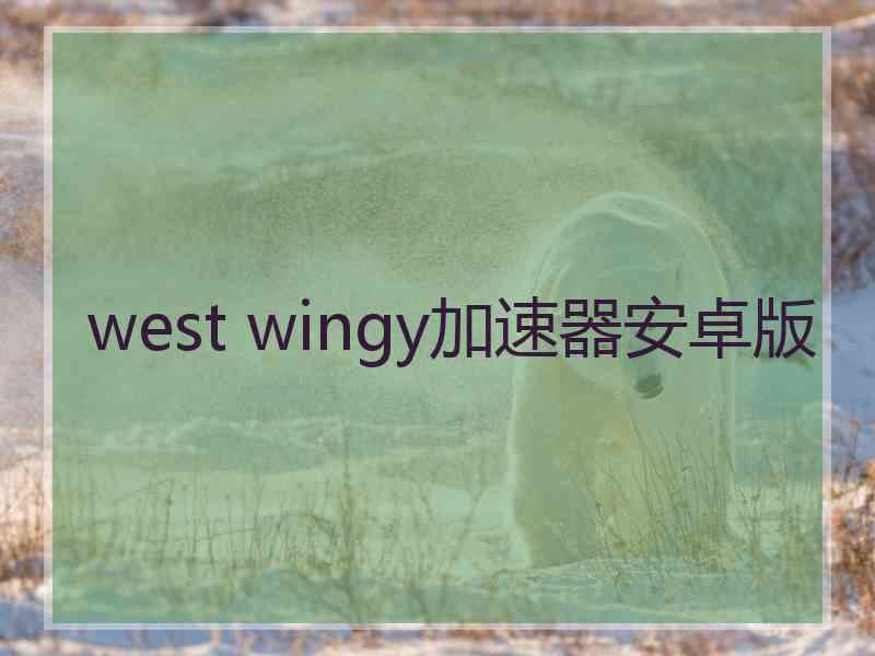 west wingy加速器安卓版