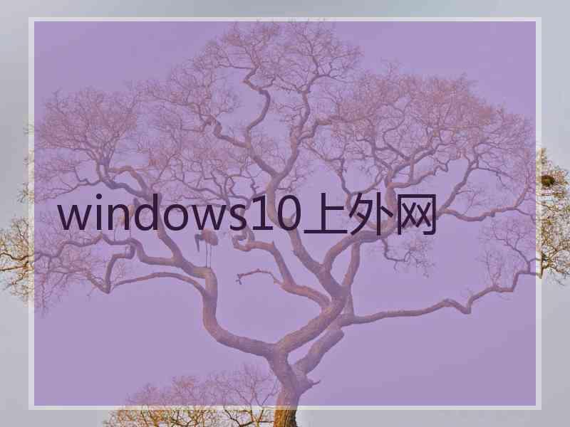 windows10上外网