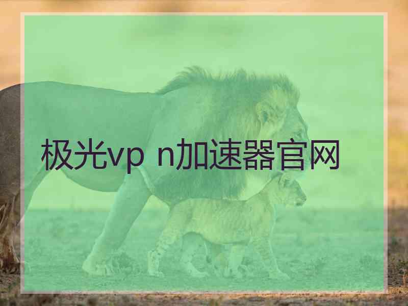 极光vp n加速器官网