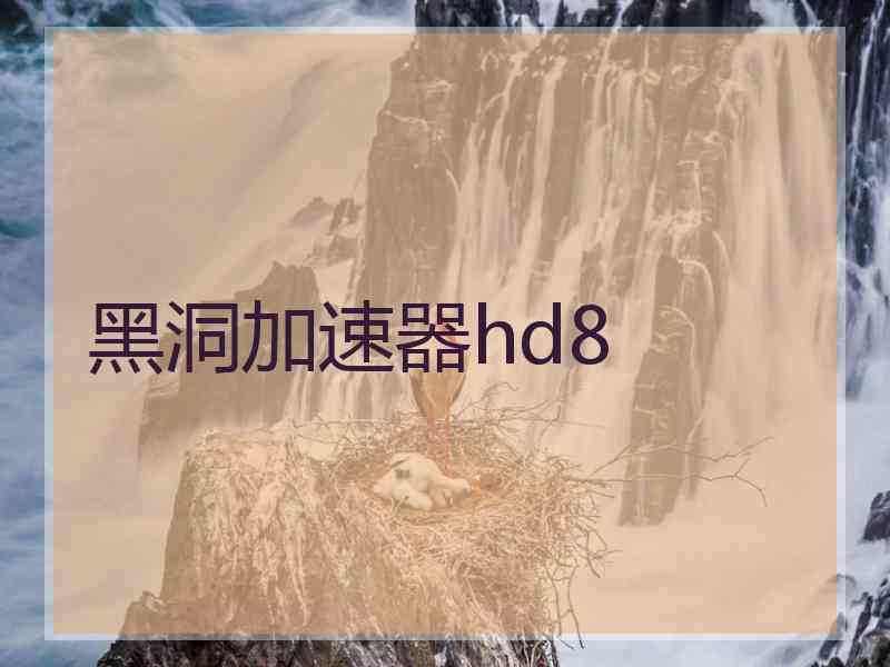 黑洞加速器hd8