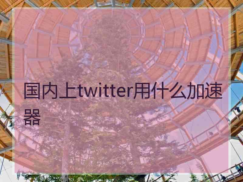 国内上twitter用什么加速器