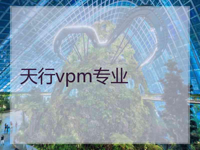 天行vpm专业