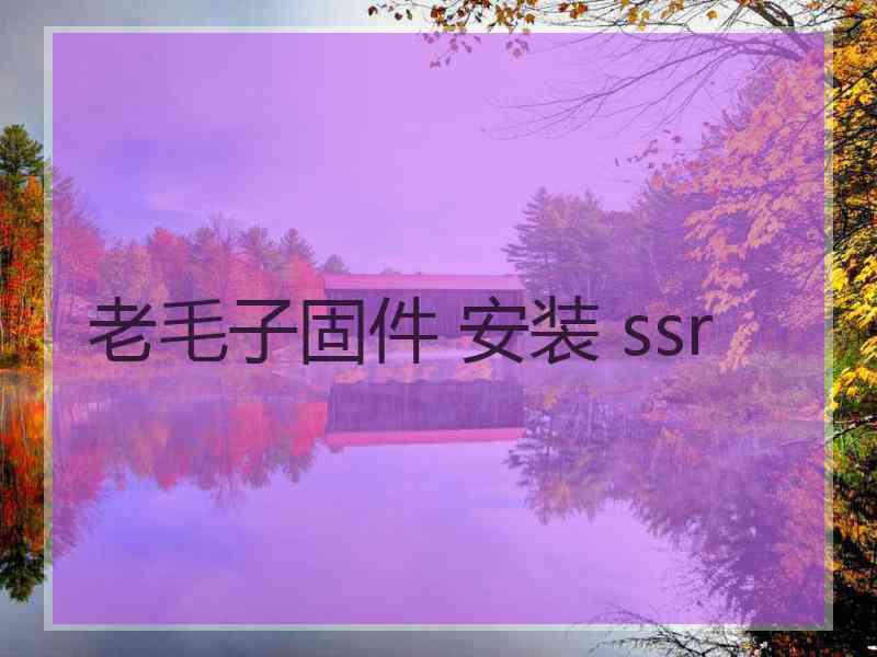 老毛子固件 安装 ssr