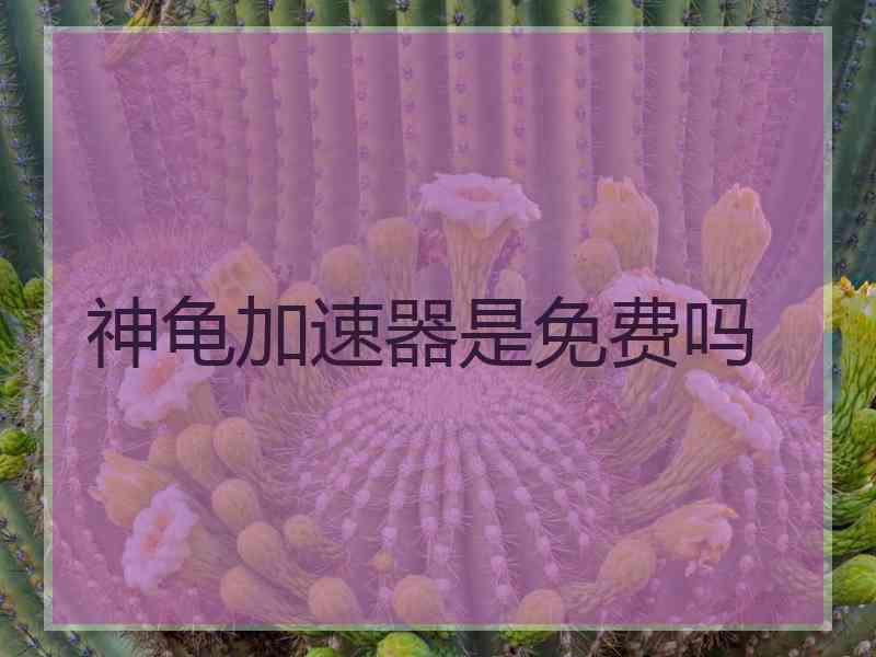 神龟加速器是免费吗