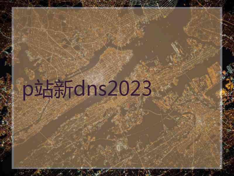 p站新dns2023