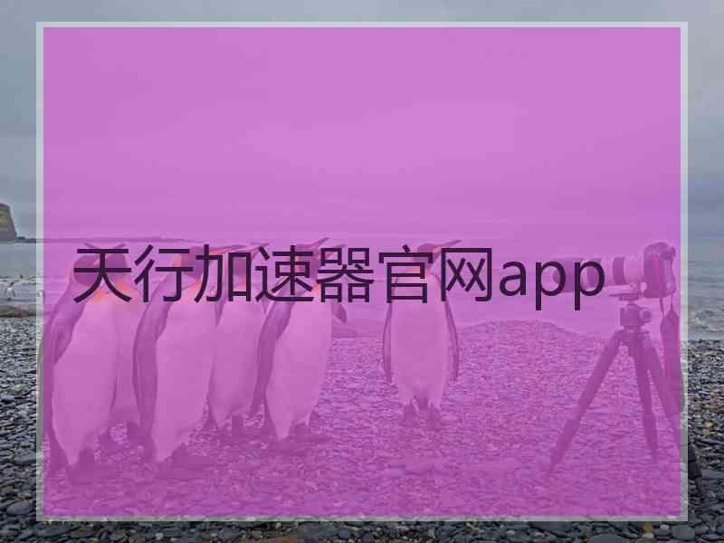 天行加速器官网app