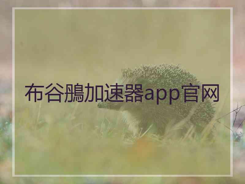 布谷鴅加速器app官网