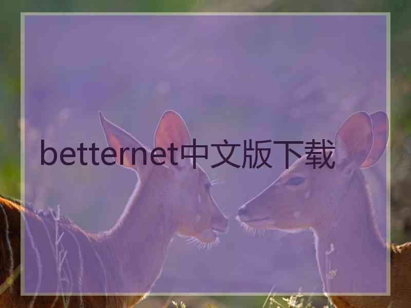 betternet中文版下载