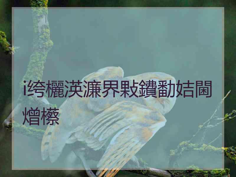 i绔欐渶濂界敤鐨勫姞閫熷櫒