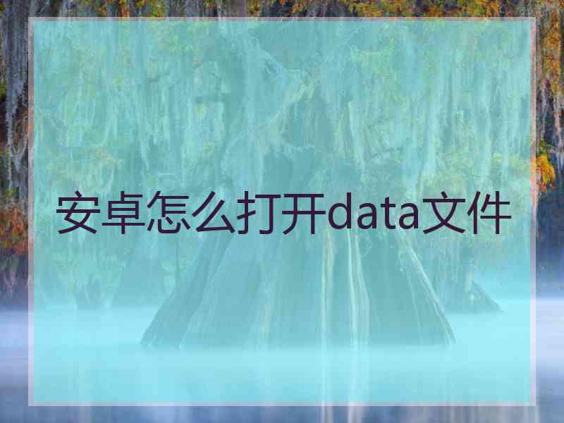 安卓怎么打开data文件